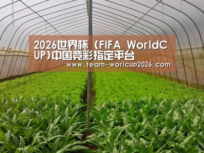 种植基地四