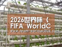 环境展示六