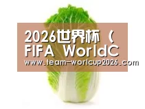 产品名称一(图1)