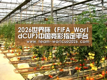 种植基地二(图1)